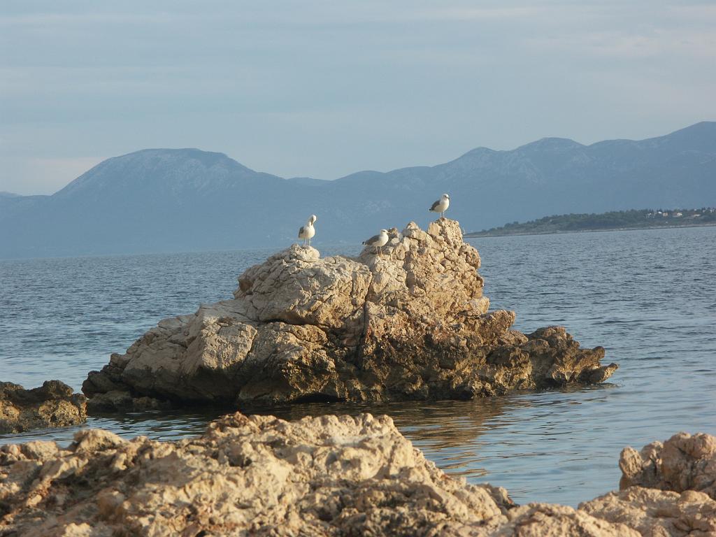 20080924_079.JPG - Makarska Riviera