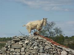 20080927_071