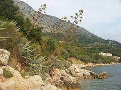 20080928_037