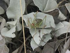 20081002_022
