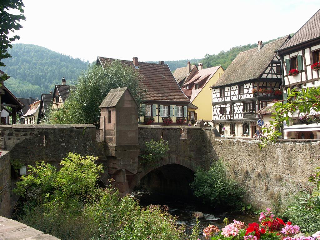20110901_070.JPG - Alzacja