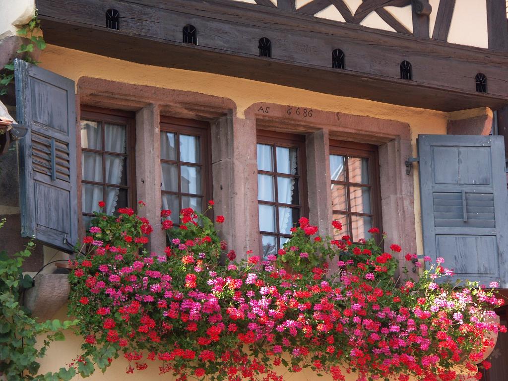 20110902_089.JPG - Alzacja, Dambach-la-Ville