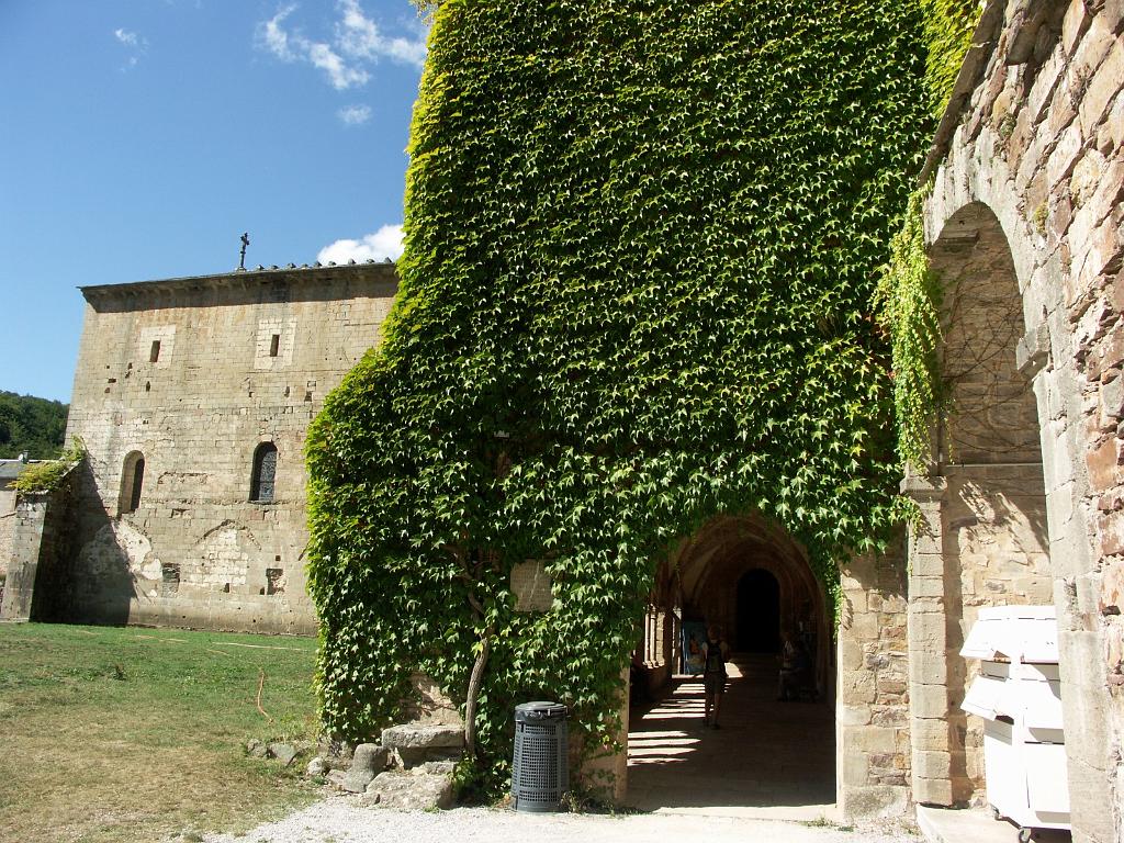 20110913_065.JPG - Sylvanes