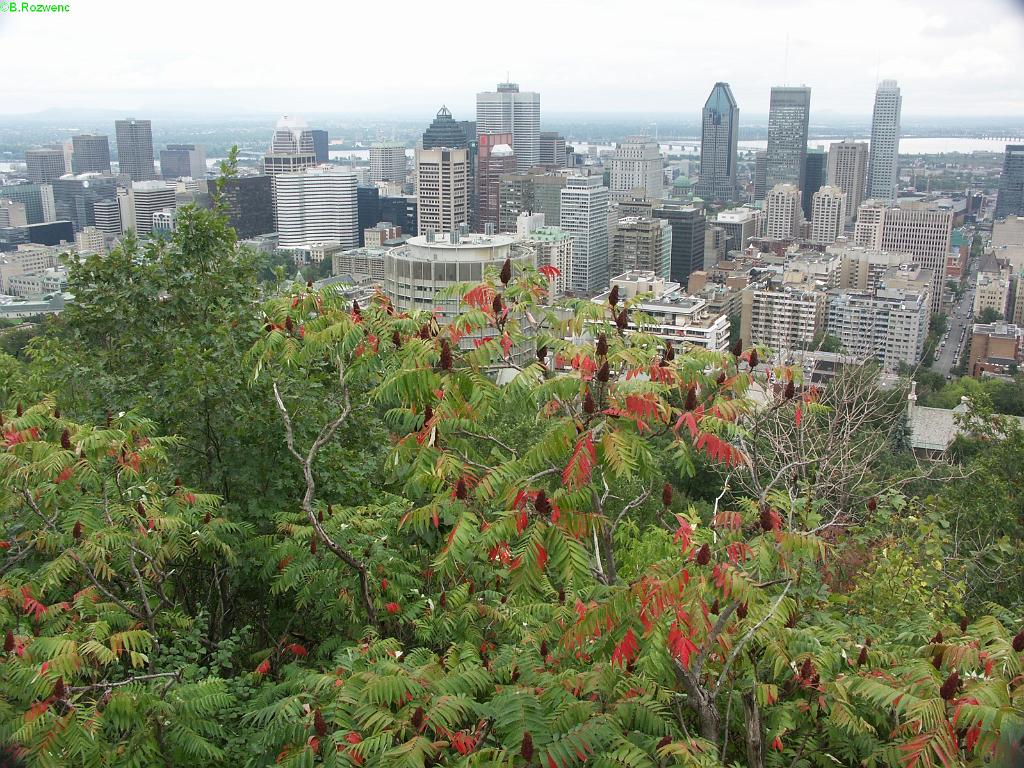 20050918_012.JPG - Montreal