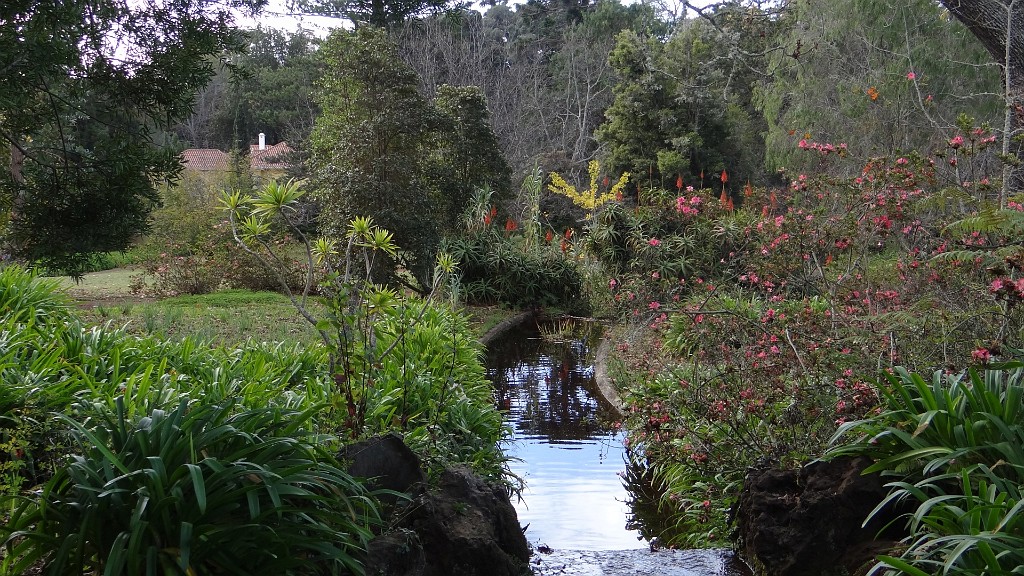 20191204_125446.JPG - Canico de Baixo-jardim Palheiro