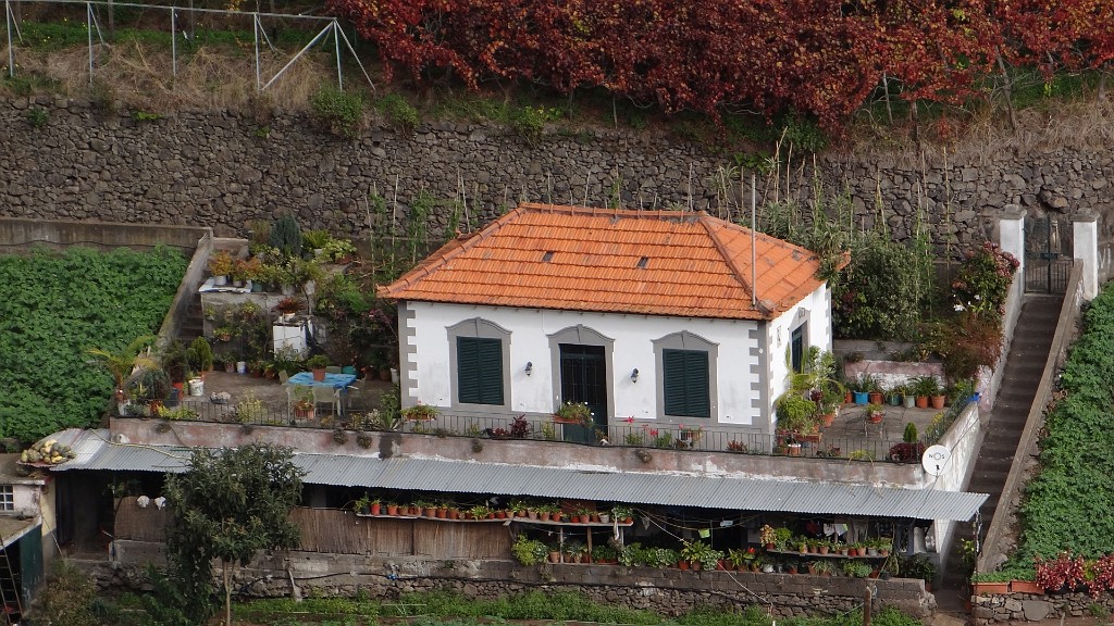 20191209_124840.JPG - Cabo Girao-levada do Norte-Estreito de Camara de Lobos-Cabo Girao