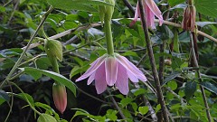 20191203_124656