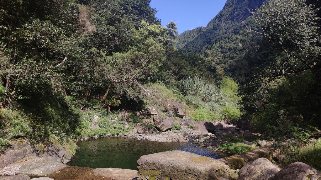20230308_135544.jpg - Referta, Levada do Castelejo
