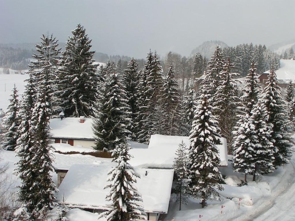 20040309_001.JPG - Austria - Bad Mitterndorf