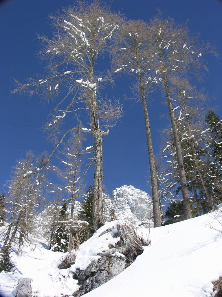 20050302_013.JPG - Austria - Ramsau