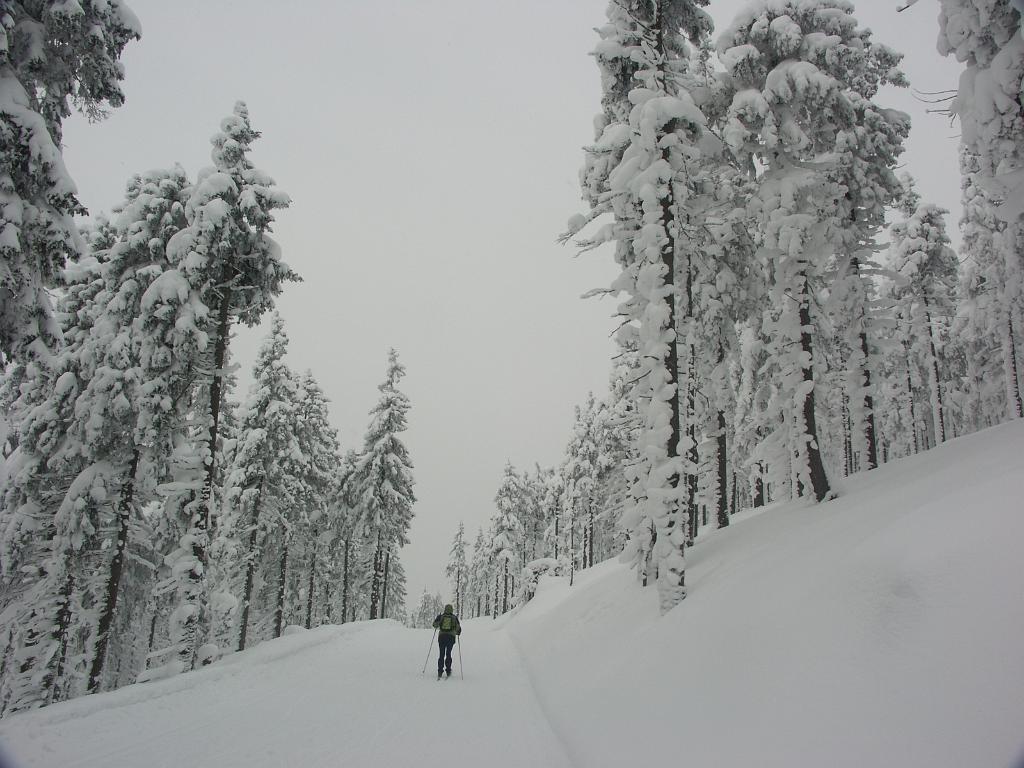 20090220_004.JPG - Czechy - Karkonosze