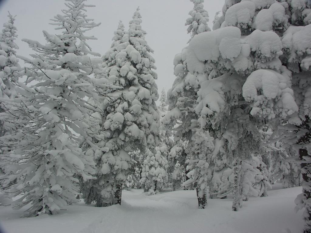 20090220_005.JPG - Czechy - Karkonosze