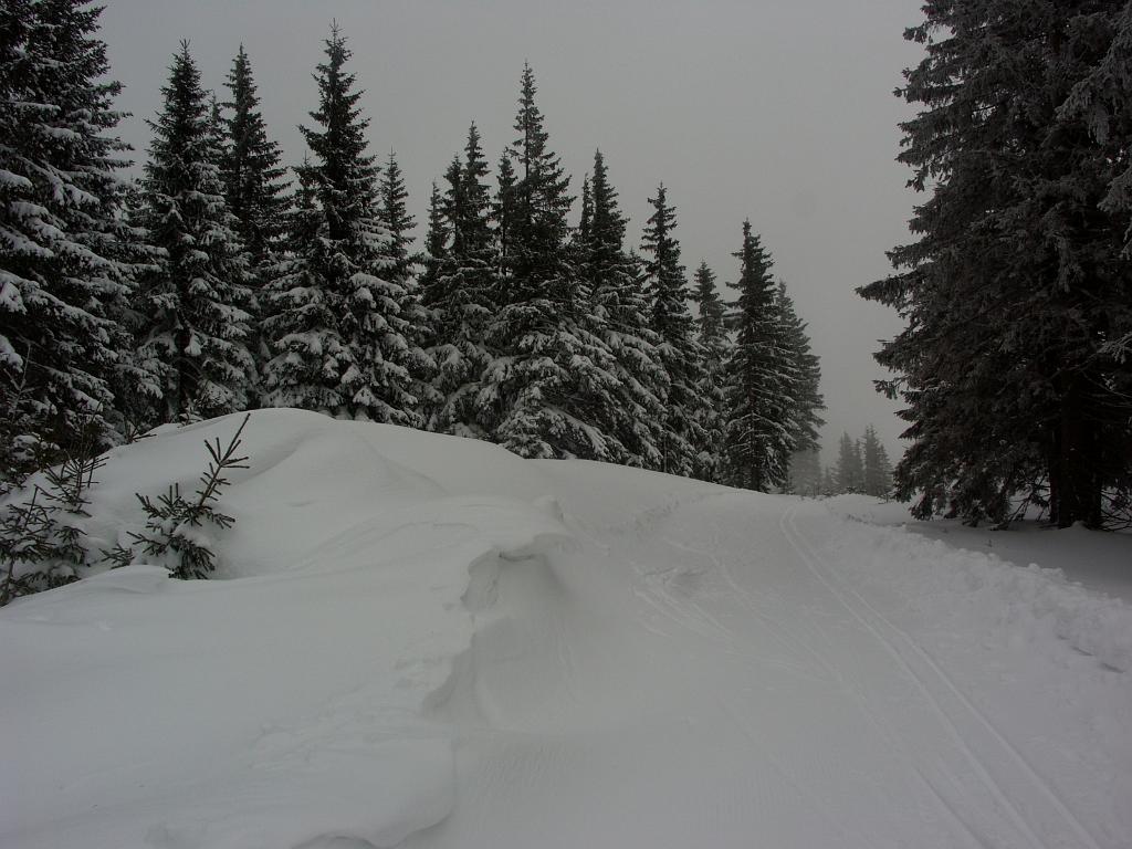 20100317_004.JPG - Czechy - Karkonosze