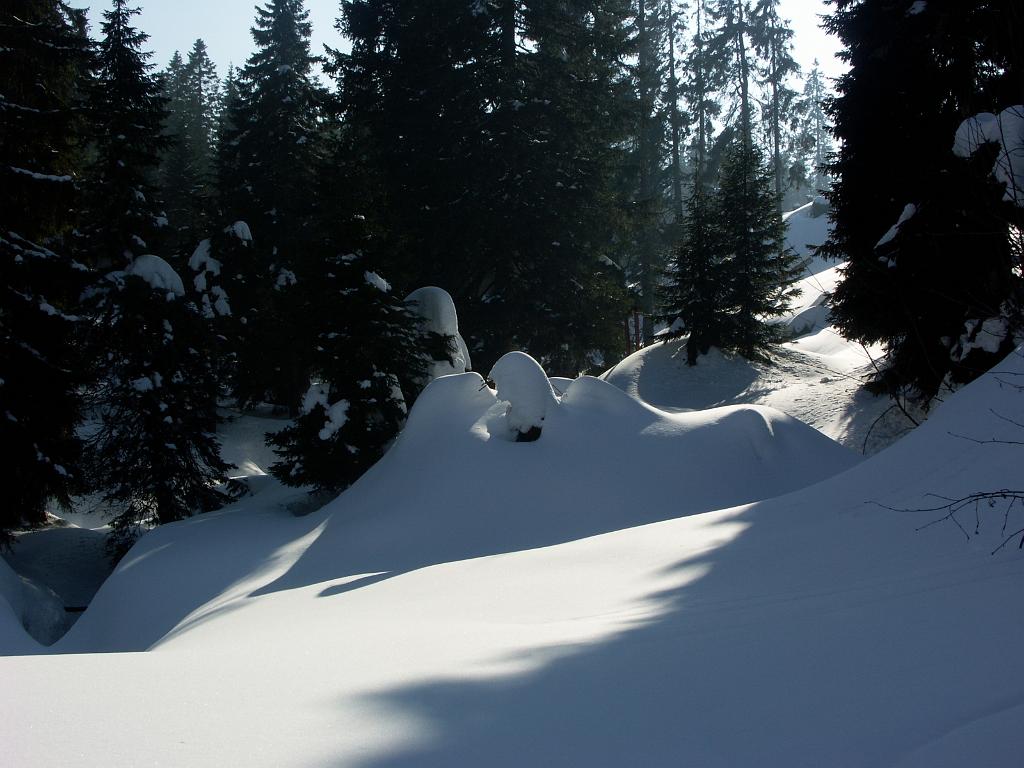 20100318_006.JPG - Czechy - Karkonosze