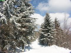 20060227_006