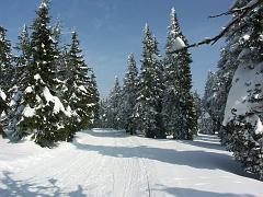 20100318_001