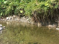 20080816_003