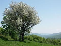 20050526_034