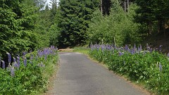 20130618_162534