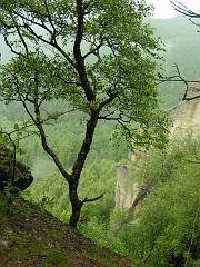 20040611_012