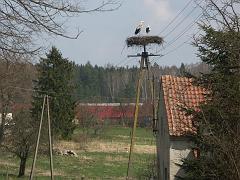 20090413_021