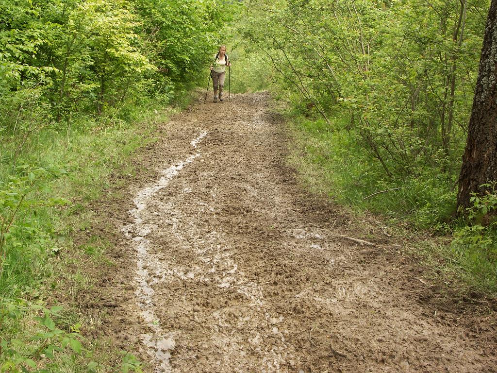 20100603_019.JPG - Pieniny