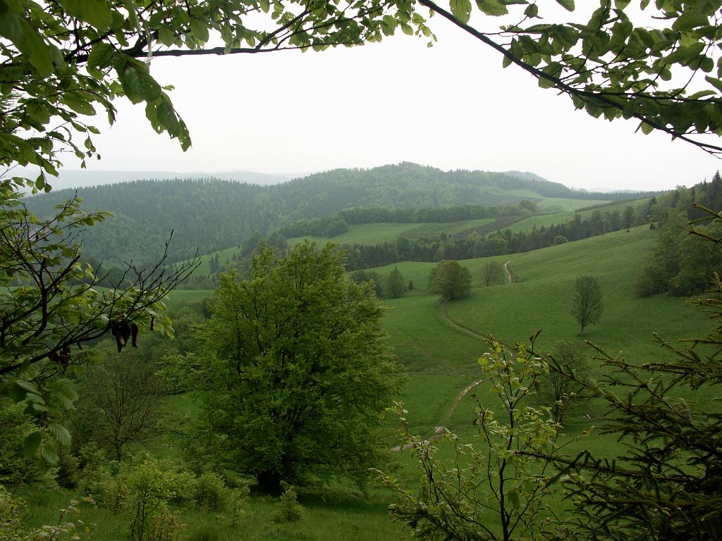 20100603_025.JPG - Pieniny