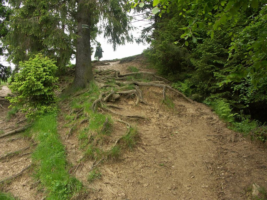 20100603_026.JPG - Pieniny