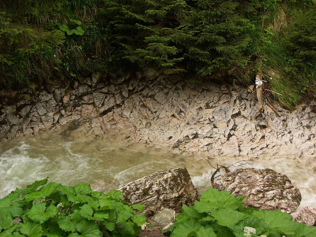 20100603_034.JPG - Pieniny