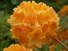 20050604_001