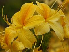 20050604_007