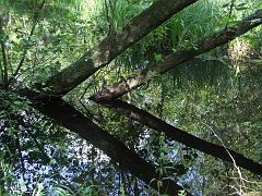20050709_039