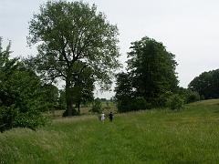 20090611_010