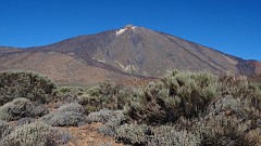 20181204_110708
