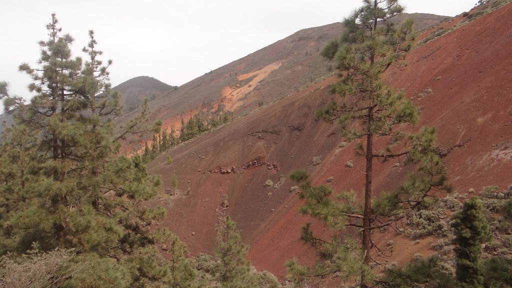 20200313_135008.JPG - La Caldera-Montana del Limon
