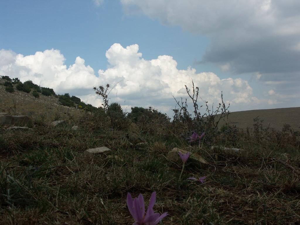 20070910_017.JPG - Monte Tezio