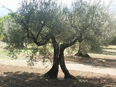 20070910_014
